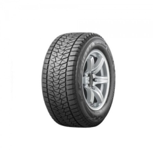 Bridgestone DM-V2